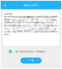 冰冰下载器