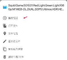 冰冰下载器