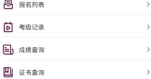 上戏考级