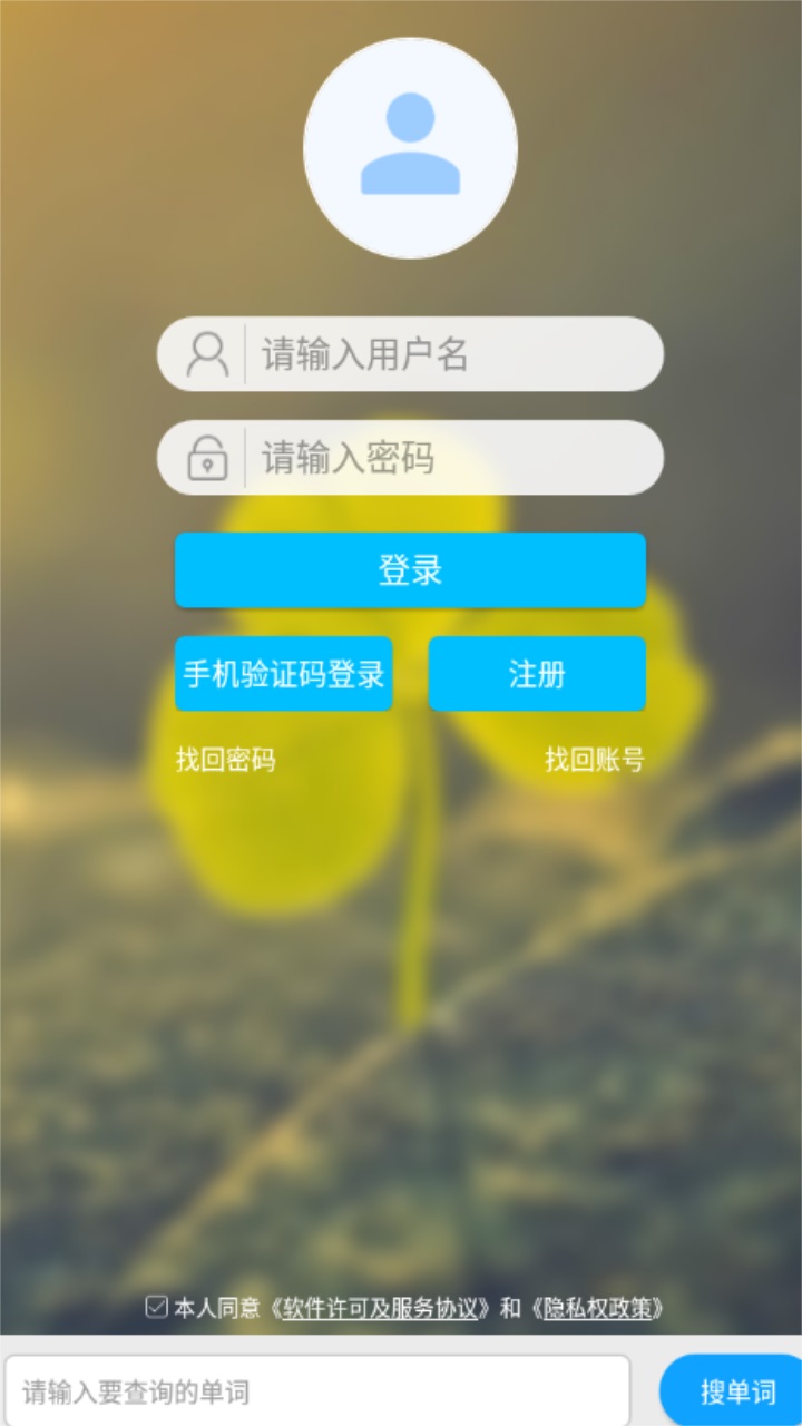外语通小学版