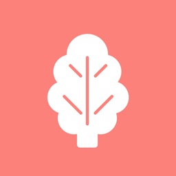 菠菜管理系统v2.5.9安卓版