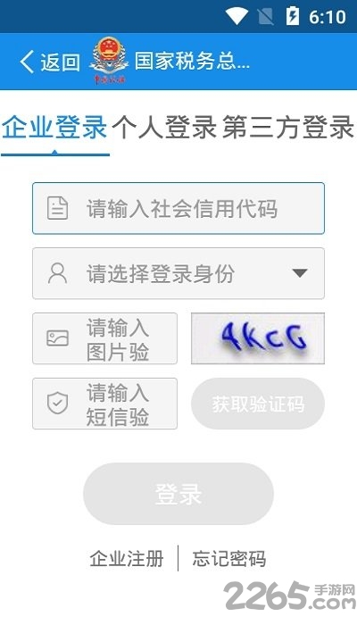 四川税务界面截图预览(2)