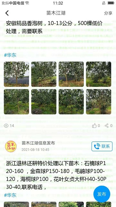 苗木江湖