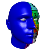 d3d sculptor官方版v9.53安卓版