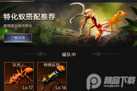 小小蚁国