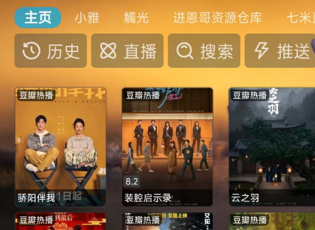 TVBox(进恩哥版)