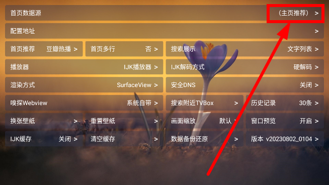 TVBox(进恩哥版)