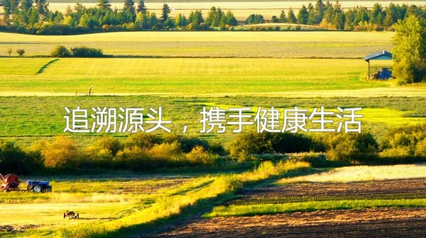 国家农产品质量安全追溯管理平台