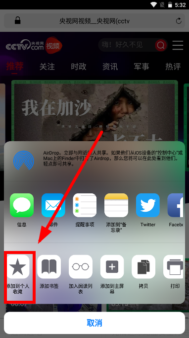 Safari