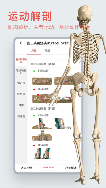 运动功能解剖教学系统app(第三人体)