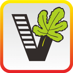我要自学网app v1.9.40安卓最新版