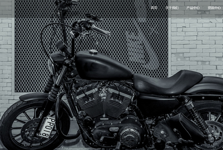 MOTOCAM