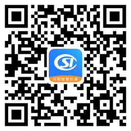 2024河南智慧社保app养老认证