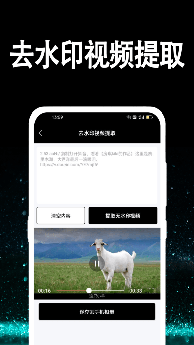 视频提取大师