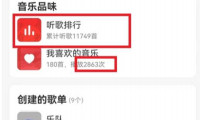 如何查看网易云音乐听歌次数？网易云音乐听歌排行榜详解
