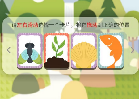 顶级食物链