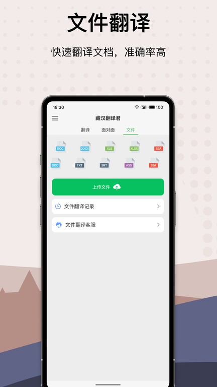 藏汉翻译君界面截图预览(4)
