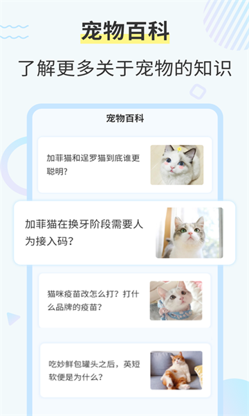 猫咪翻译工具