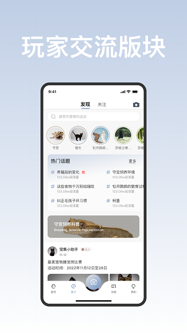 集宠区