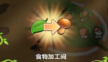 动物王国大冒险