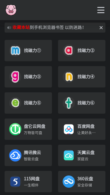 BT磁力猪手机版