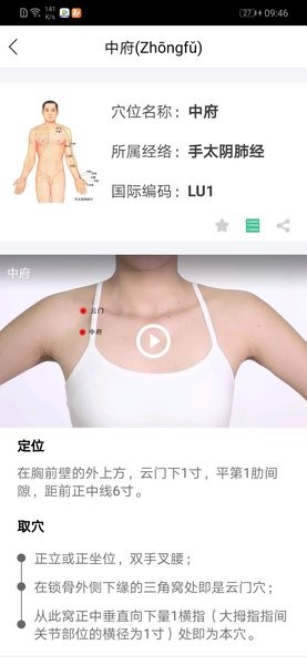 灸大夫经络官方最新版(经络穴位图解)