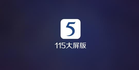115大屏版