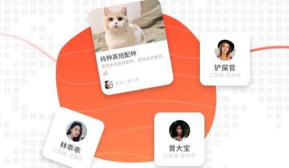 宠胖胖