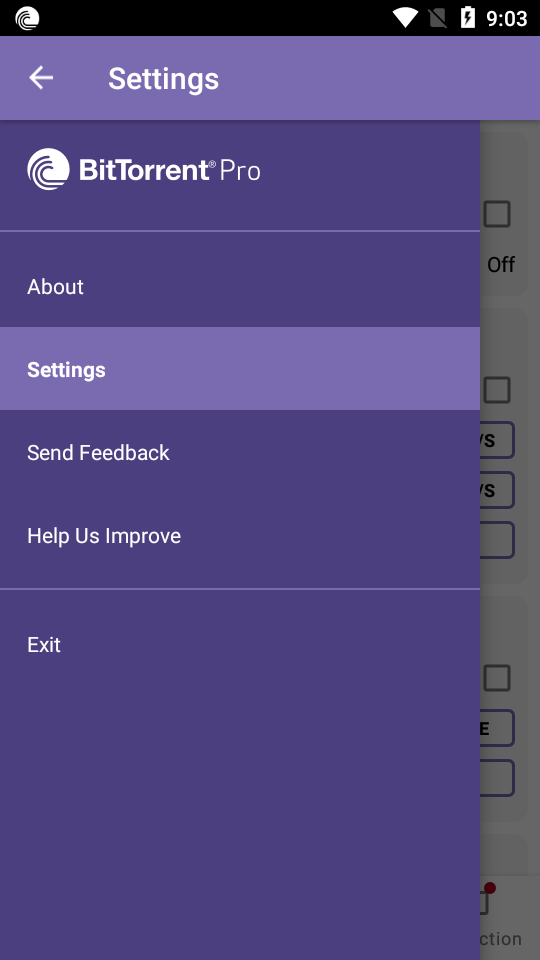 BitTorrent