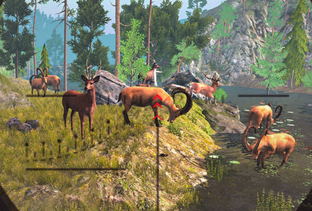Jungle Deer Hunting