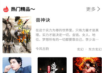 亚文阅读