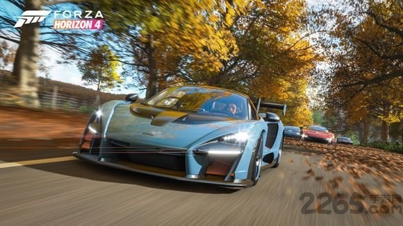 Horizon4