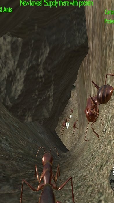 Ant Simulation 3D