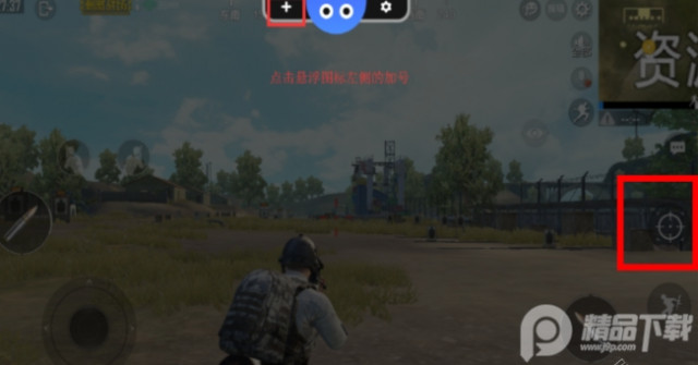 八爪鱼