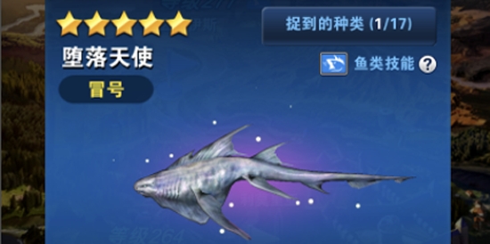 钓鱼发烧友