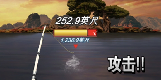 钓鱼发烧友