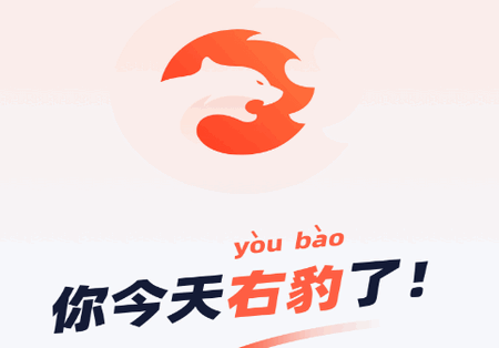 右豹