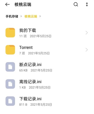 核桃云端