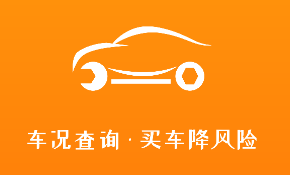 车况专家App车辆信息查询