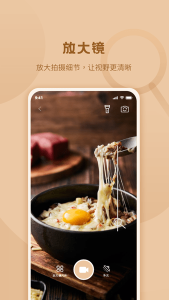 标准放大镜软件