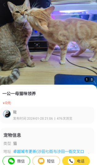 宠物领养互助