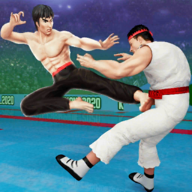 Karate Fighter空手道格斗官方版v3.3.5最新版