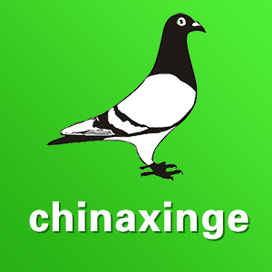 中国信鸽信息网app20231101安卓版