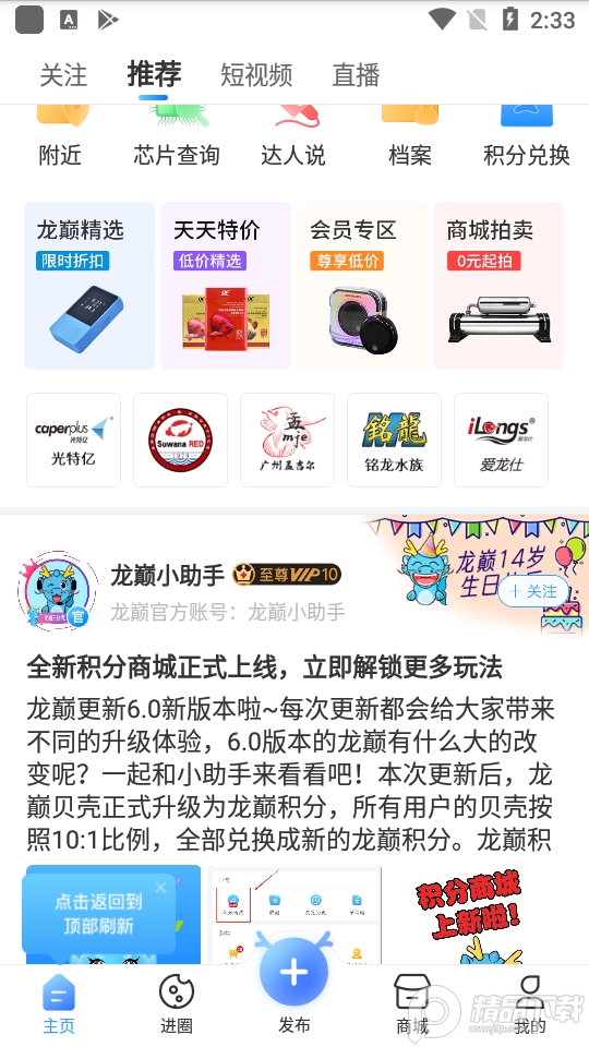 龙巅