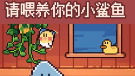 公主的迷你鱼宠物