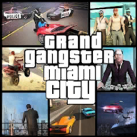 侠盗飞车迈阿密Miami City v5.4安卓版