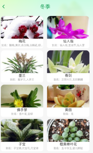 妙看四季