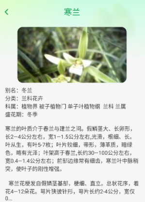 妙看四季