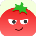 番茄相册大师app最新版v1.0.0.0安卓版