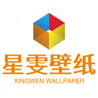 星雯壁纸手机版v1.0.0安卓版